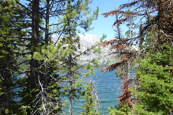 Transformance Advisors Trail of the Month