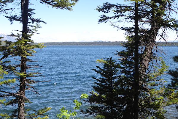 Transformance Advisors Trail of the Month