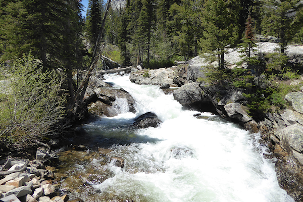 Transformance Advisors Trail of the Month