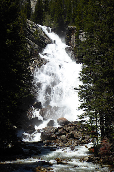 Transformance Advisors Trail of the Month