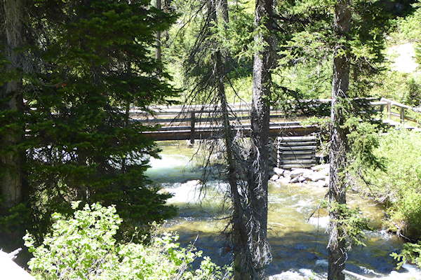 Transformance Advisors Trail of the Month