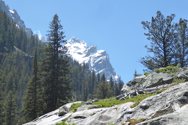 Transformance Advisors Trail of the Month