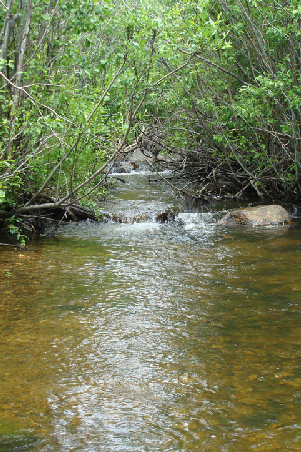 boulder colorado hiking trail