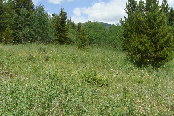 boulder colorado hiking trail