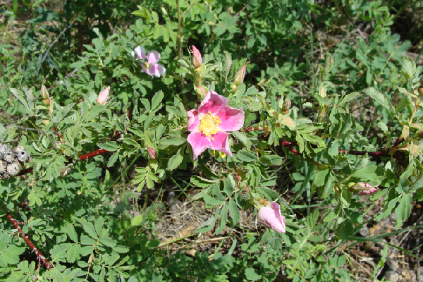 boulder colorado hiking trail