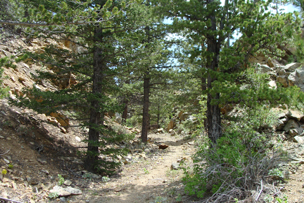 boulder colorado hiking trail