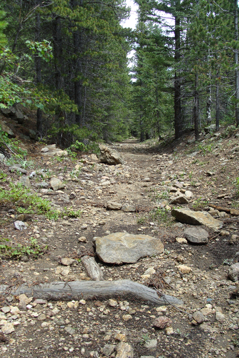 boulder colorado hiking trail