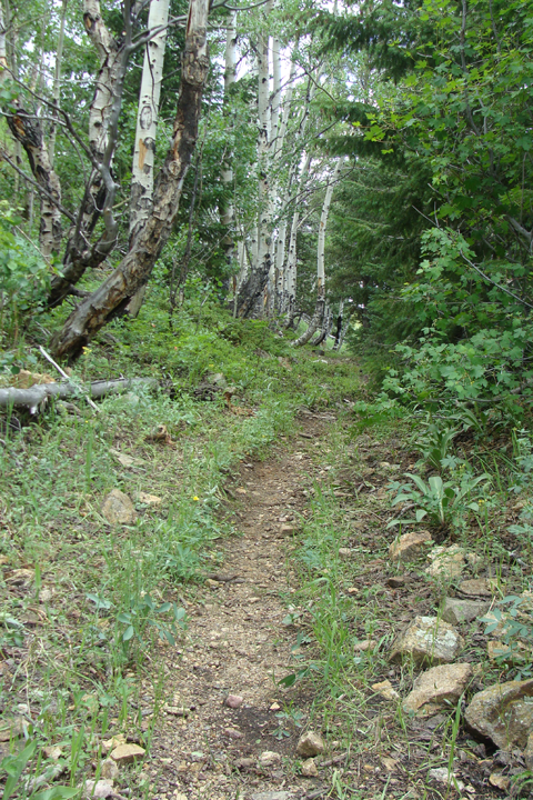 boulder colorado hiking trail