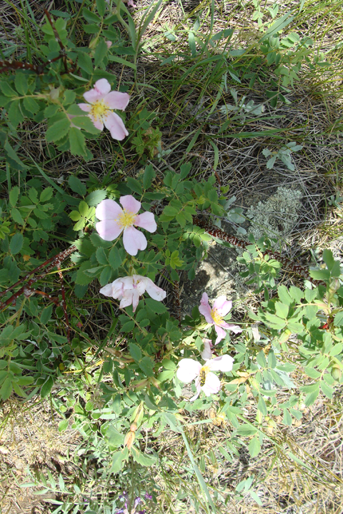 boulder colorado hiking trail