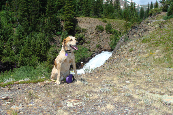 Transformance Advisors Trail of the Month