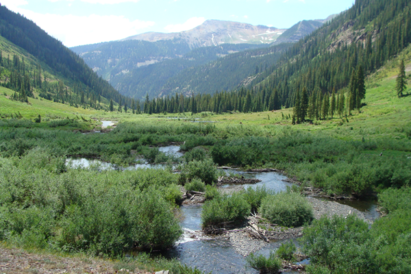 Transformance Advisors Trail of the Month