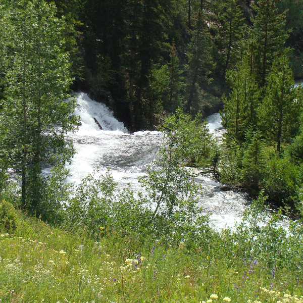 Transformance Advisors Trail of the Month