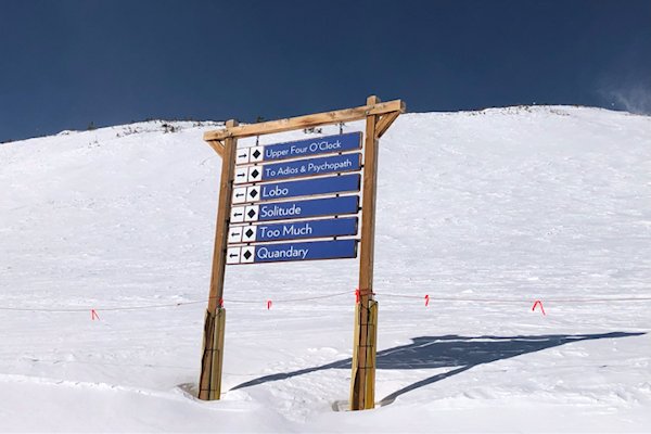 Transformance Advisors Trail of the Month