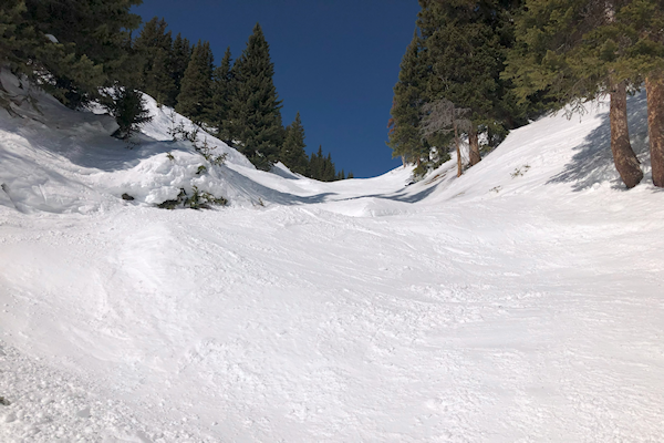 Transformance Advisors Trail of the Month