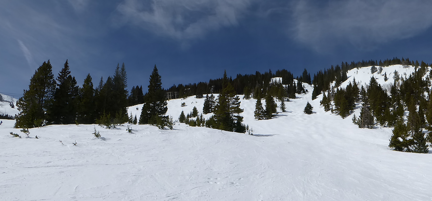 Transformance Advisors Trail of the Month