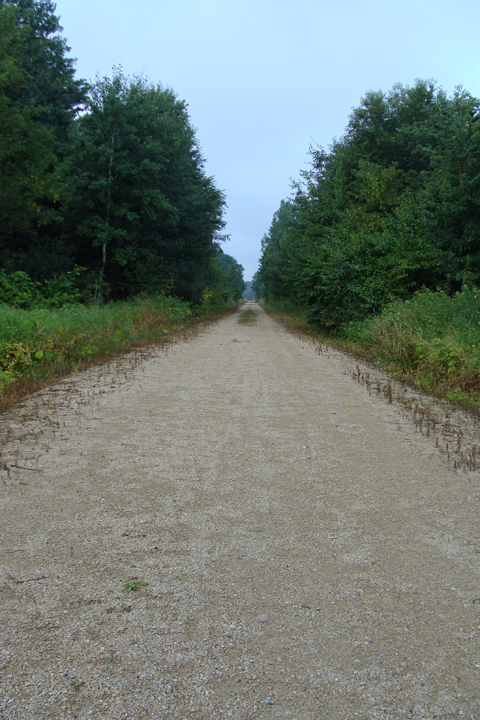 Transformance Advisors Trail of the Month
