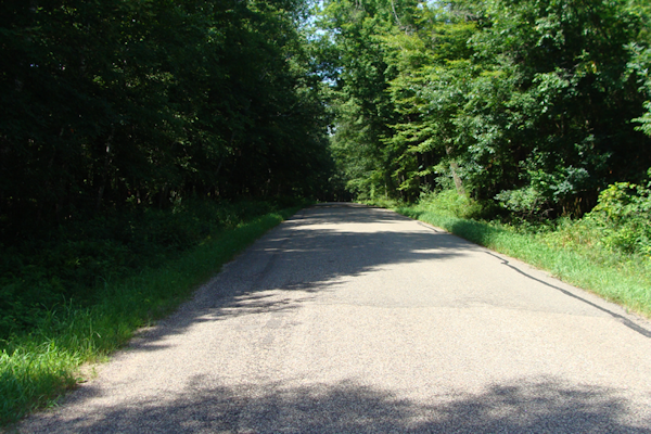 Transformance Advisors Trail of the Month