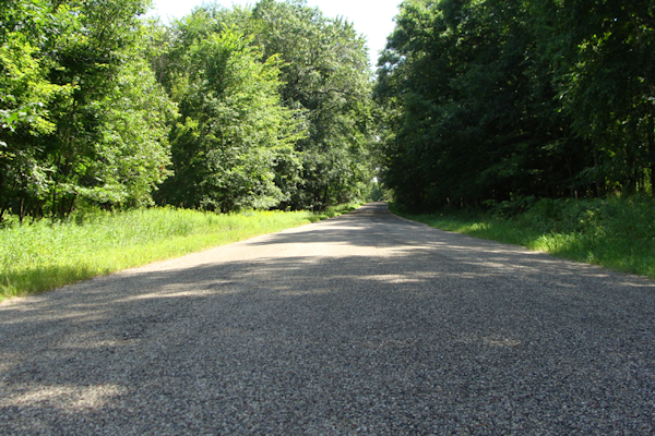 Transformance Advisors Trail of the Month