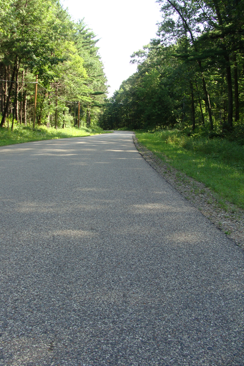 Transformance Advisors Trail of the Month