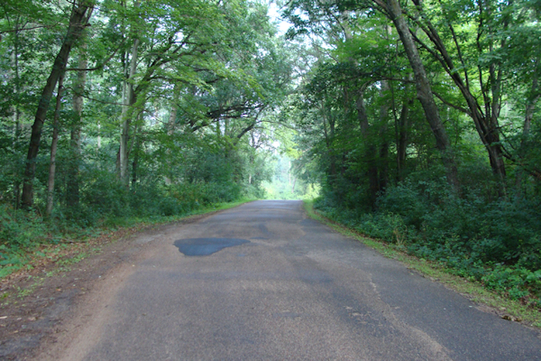 Transformance Advisors Trail of the Month