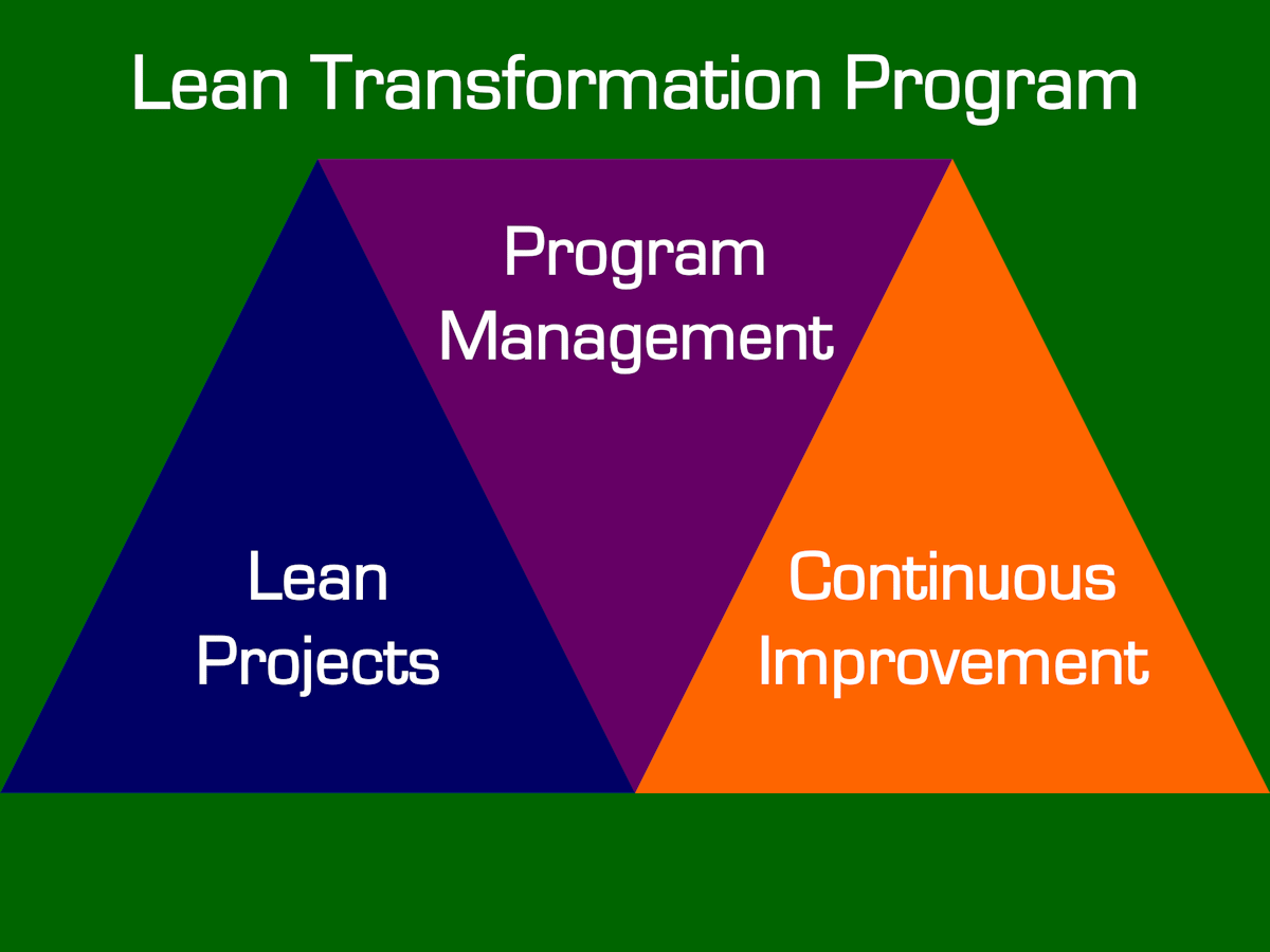 Lean Program Audit