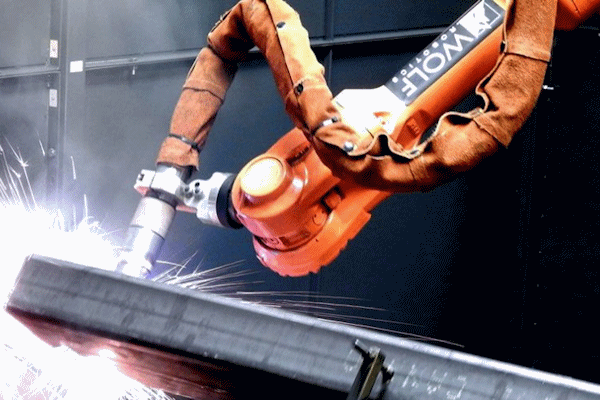 Wolf Robotics Lean Project