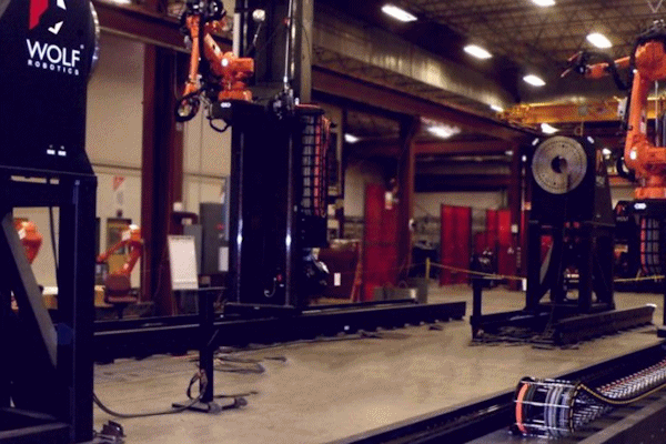 Wolf Robotics Lean Project